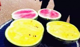 最新大瓜爆料,揭秘明星背后的惊人真相！